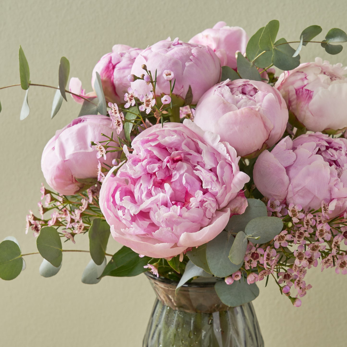 Peony Passion
