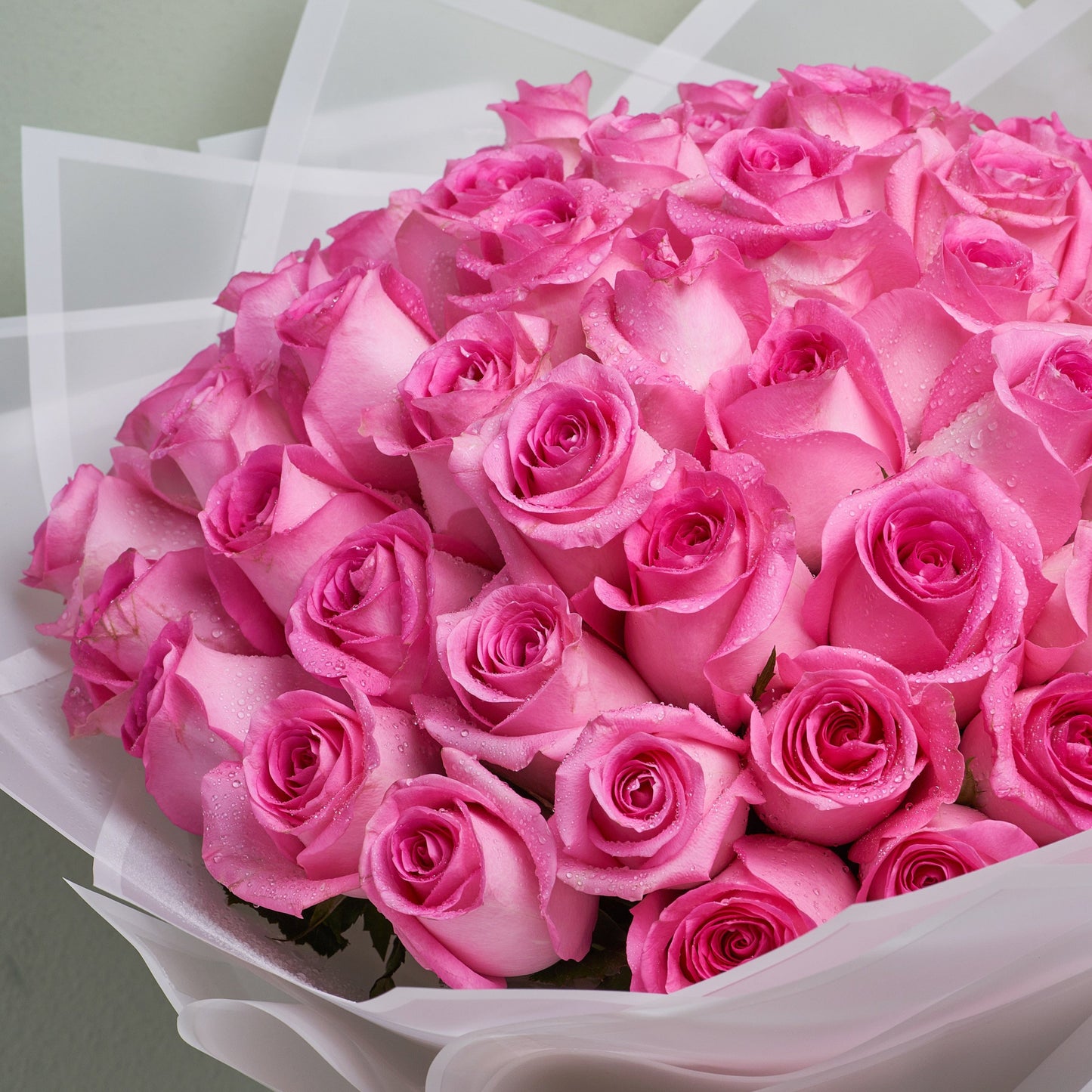 "Flowers of Love" 50 Pink Roses