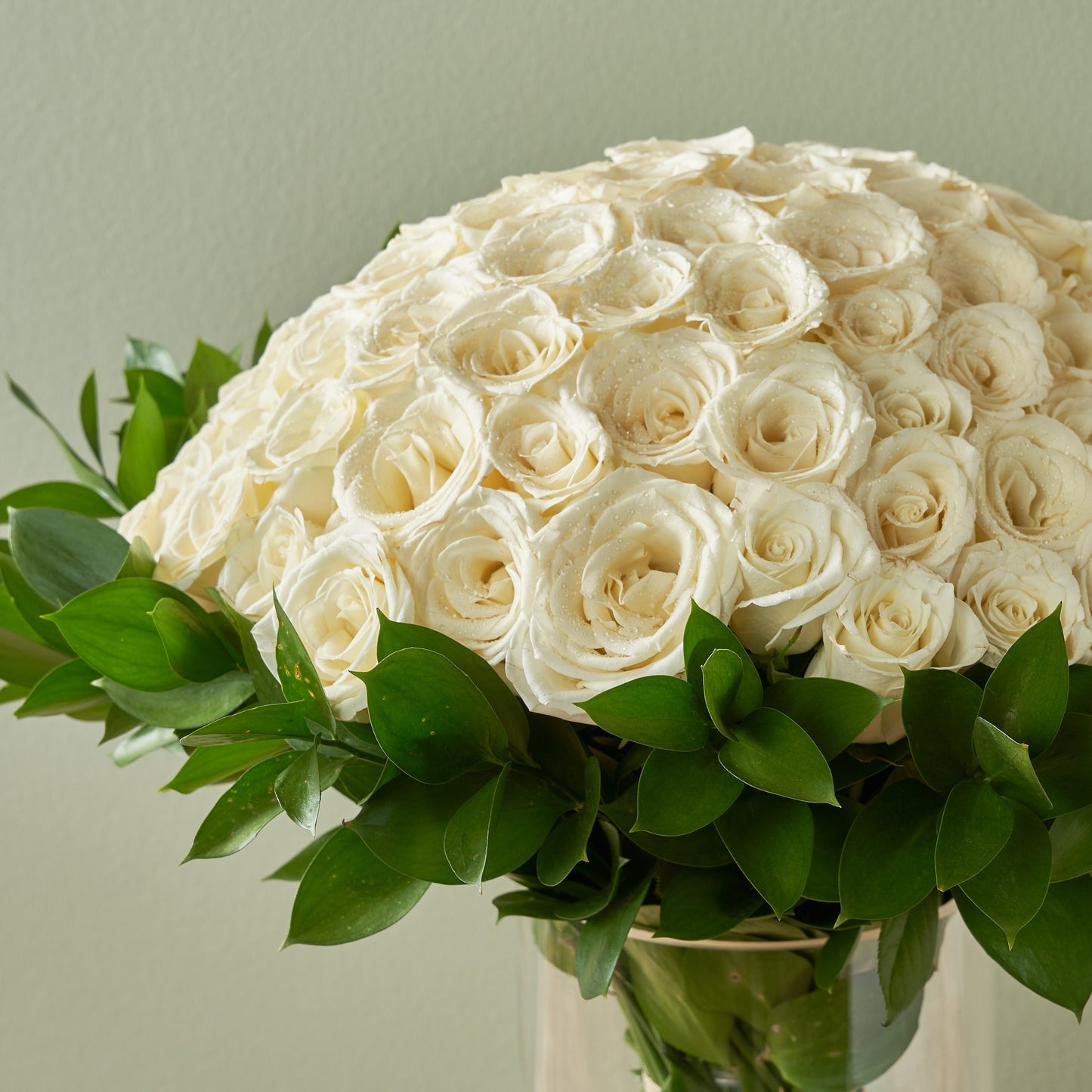 100 White Roses in a Vase