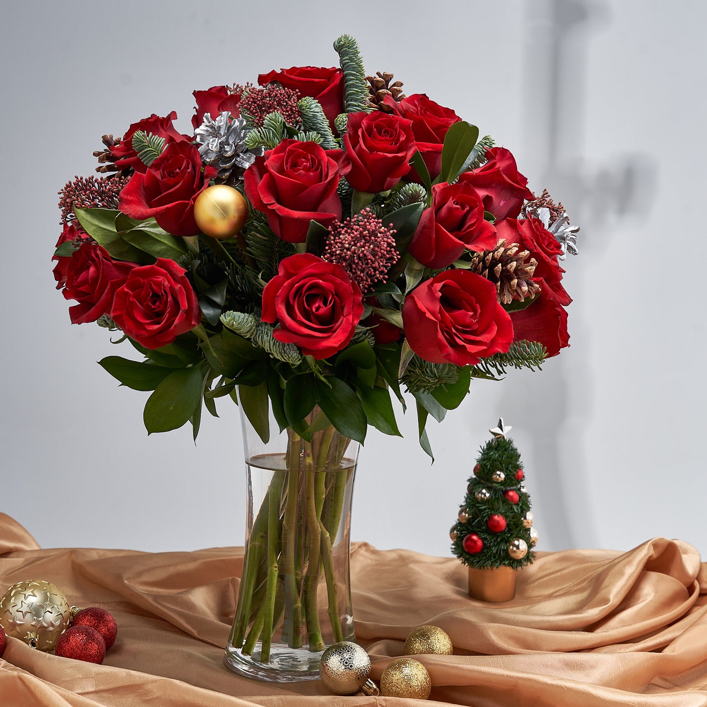 Star of Christmas