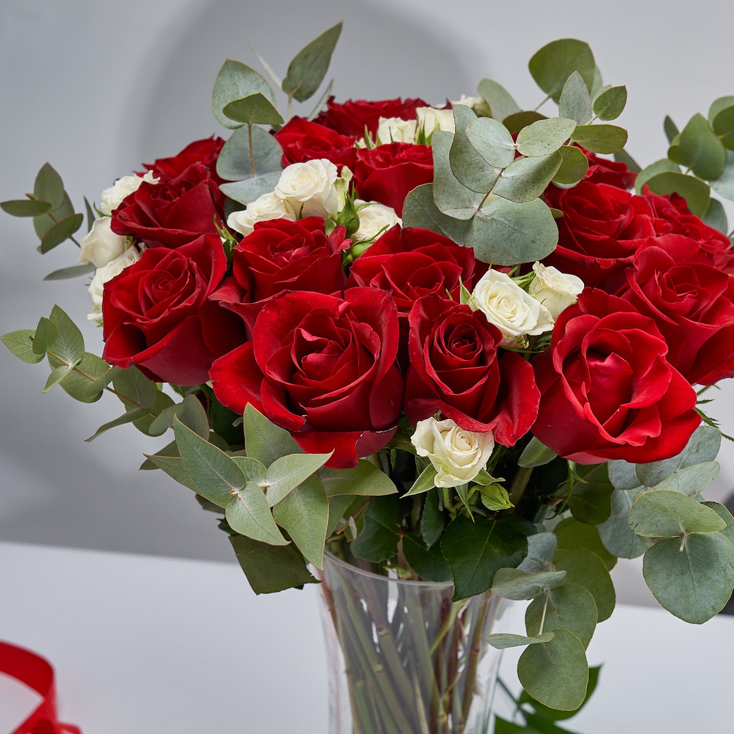 "Regal Roses" Red & White Roses in a Vase