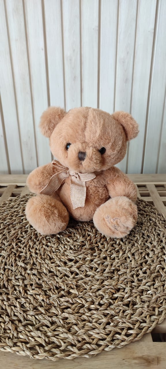 Small Teddy Bear