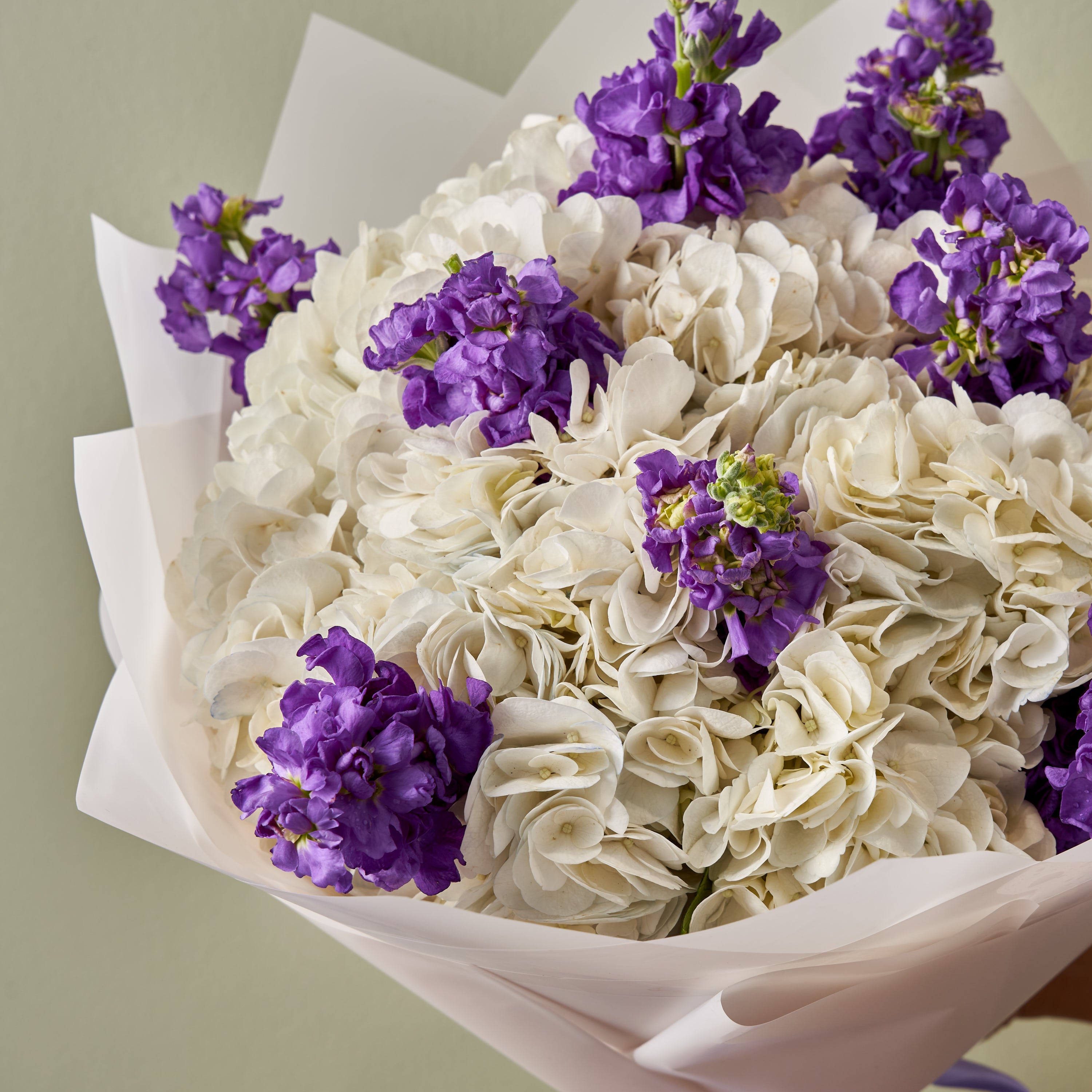 Elegant Hydrangea &amp; Purple Matthiola Bouquet