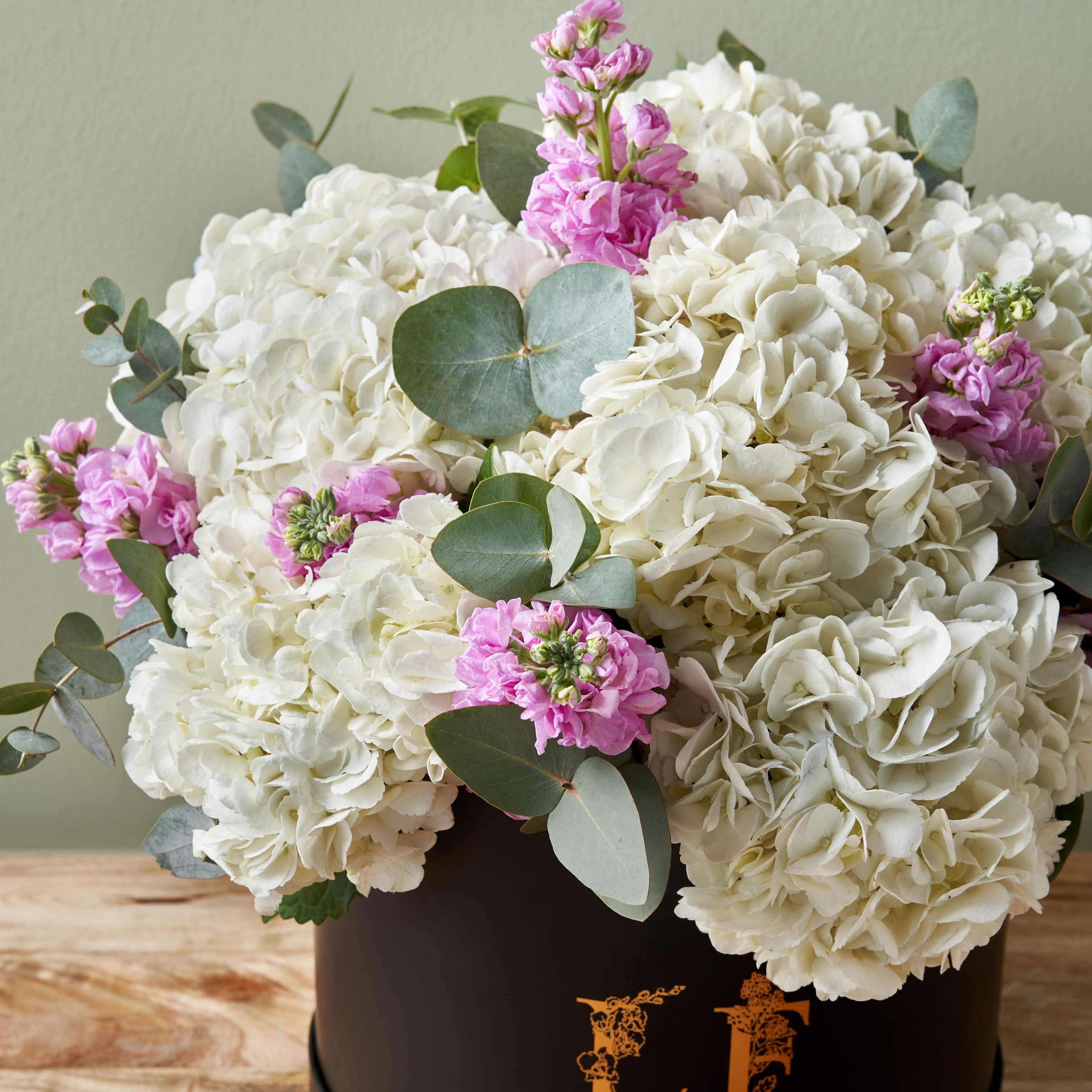 bloom-hydrangea-flowers