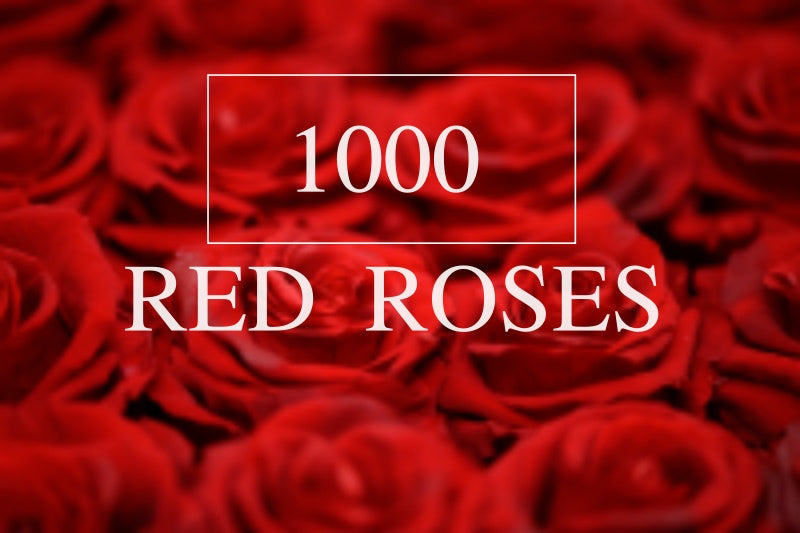 1000 Red Roses