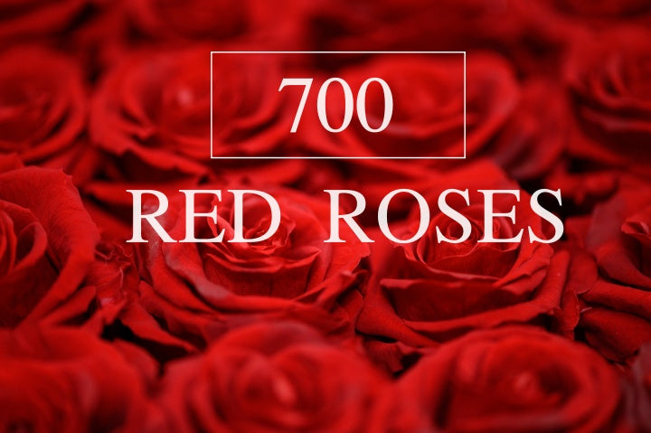 700 Red Roses