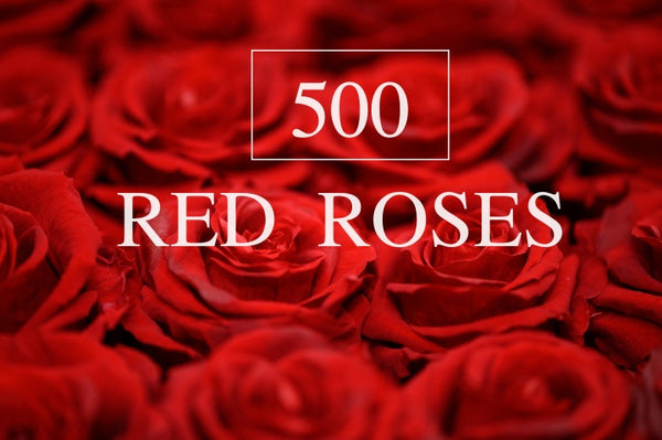 500 Red Roses