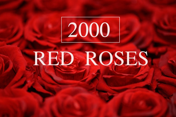 2000 Red Roses